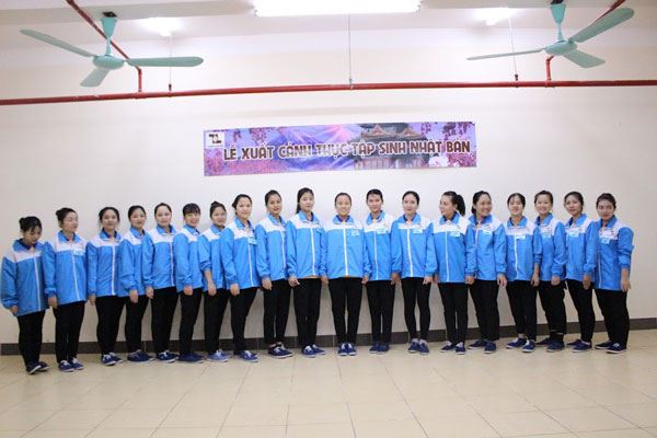 Thi tuyển đơn hàng cơm hộp