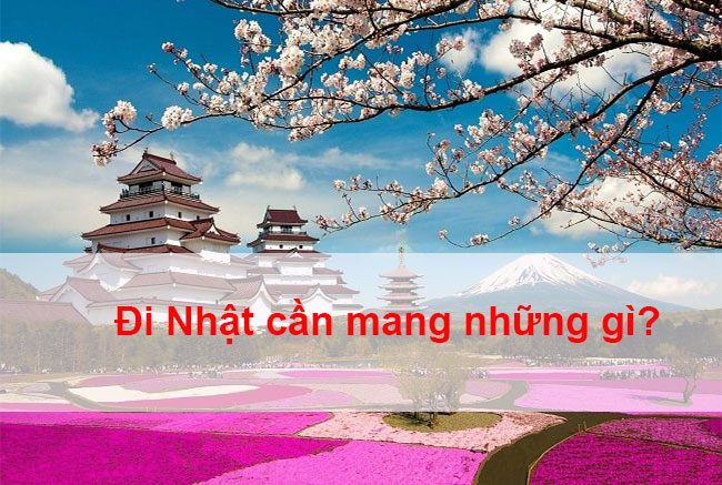 Đi Xuất Khẩu Lao Động Nhật Bản 2020 Cần Những Gì?